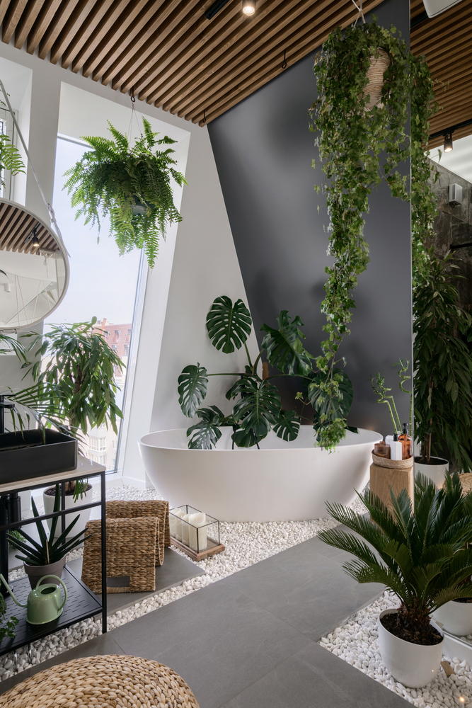 Cultivating an Indoor Garden Oasis